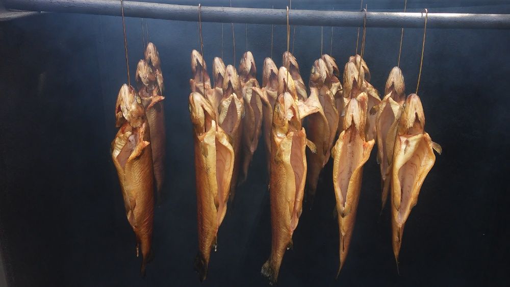 Karp żywy patroszony płat, amur, pstrąg, tołpyga, szczupak, jesiotr