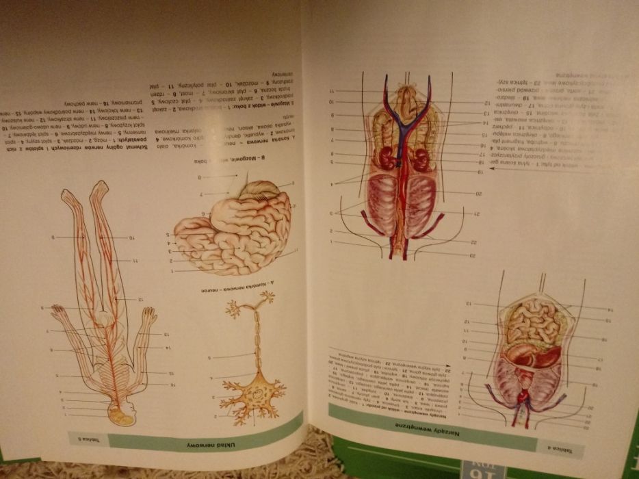 Encyklopedia zdrowia rodziny 18 tomów