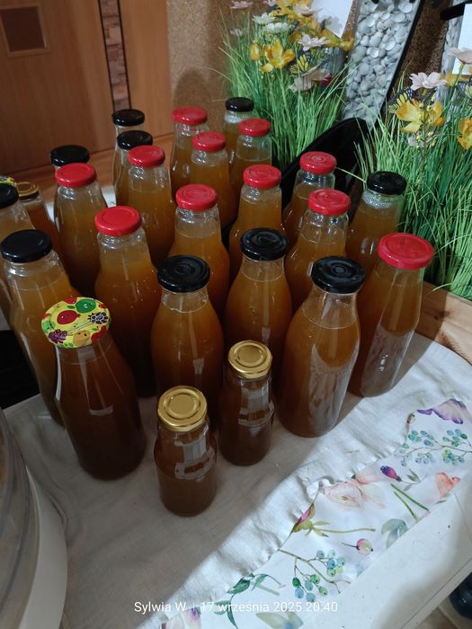 Syrop z mięty i cytryny