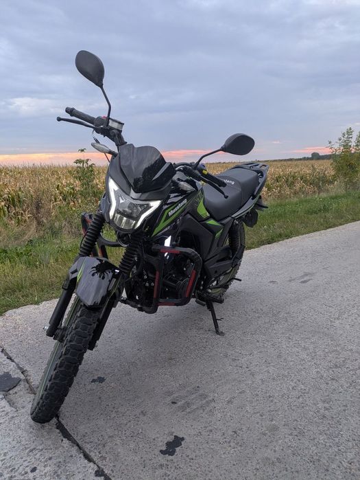 Musstang Region mt250