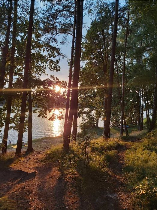 OSTATNiE WOLNE TERMINY Domek letniskowy nr4 MAZURY jezioro las