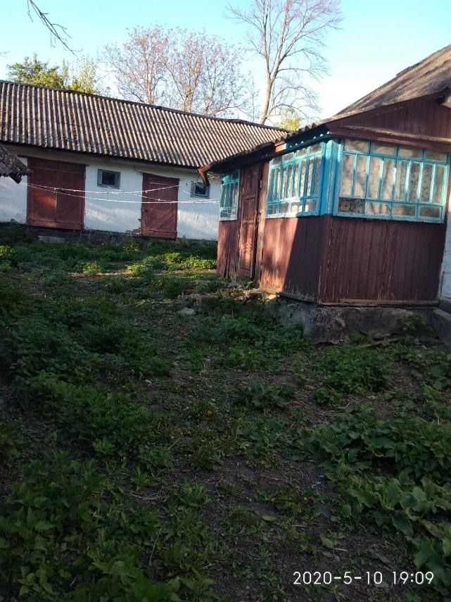 Продається зата в селі Черниця, Корецького району