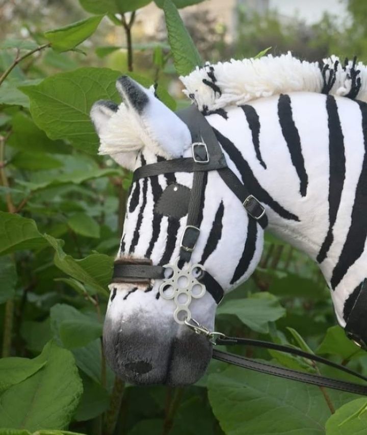 Hobby horse zebra