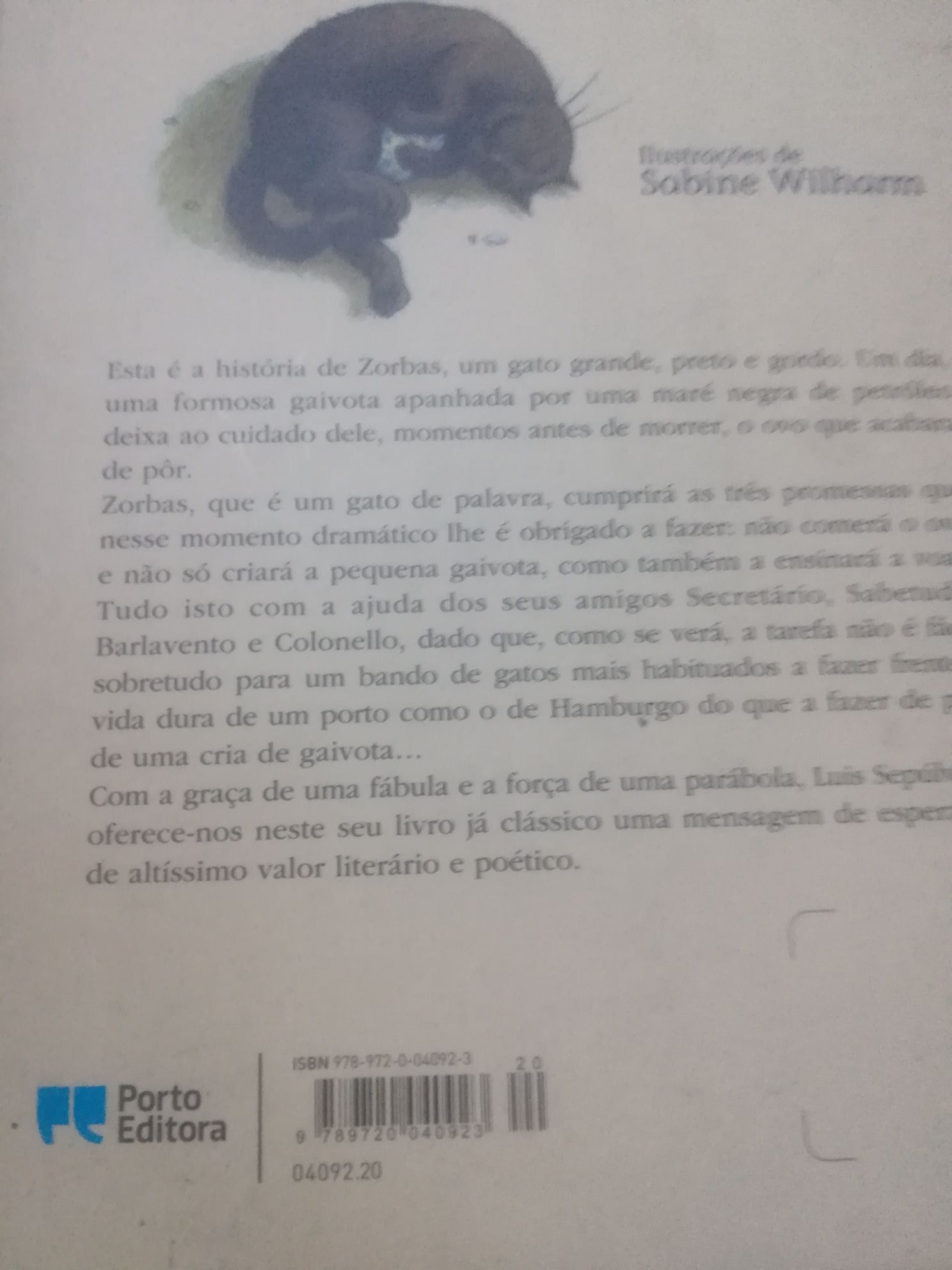 História de uma gaivota e do gato.. o gato malhado e a andorinha sinhá