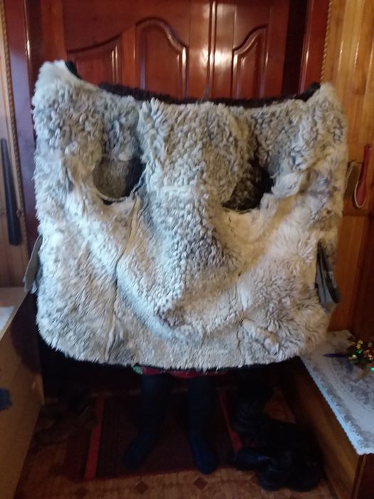 Кожух сибірський