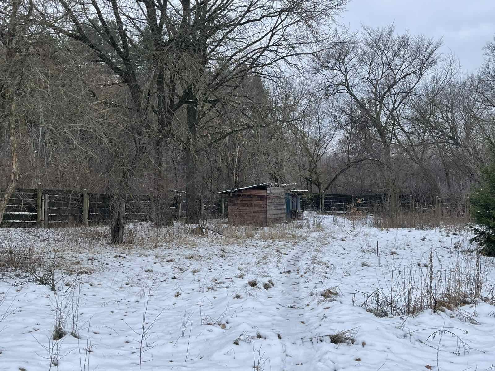 Помешкання під лісом в селі Піски. 70км від міста Київ.