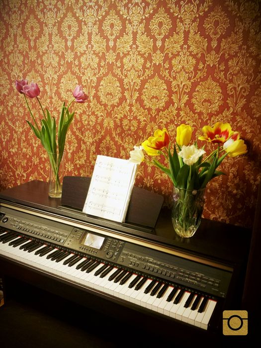 Цифровое пианино, синтезатор Yamaha CVP-501