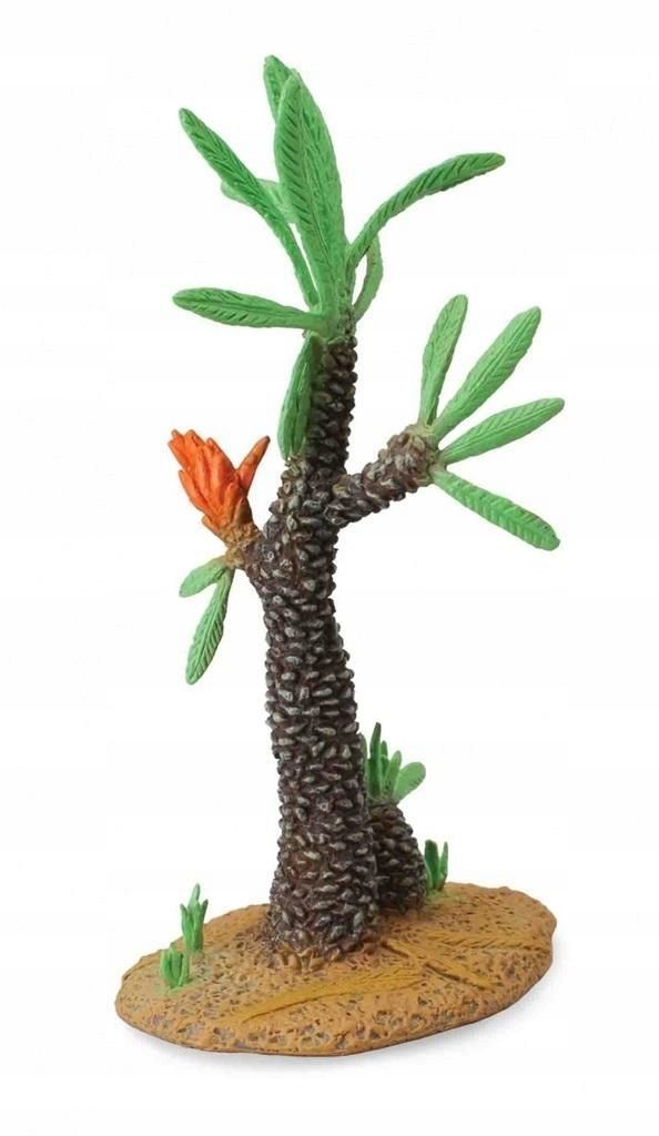 Drzewo Kaktus Williamsonia, Collecta