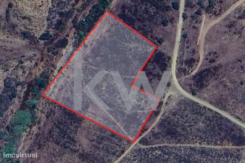 Conjunto de Terrenos Rústicos com 11760m2 sito em Várzea do Gato, Mart