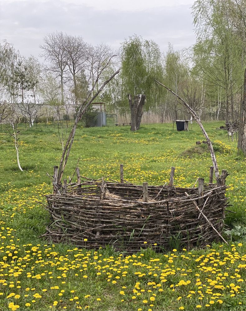 Місце, де тебе завжди чекають