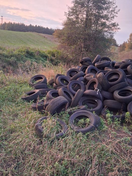 Oddam za darmo dużą ilość opon