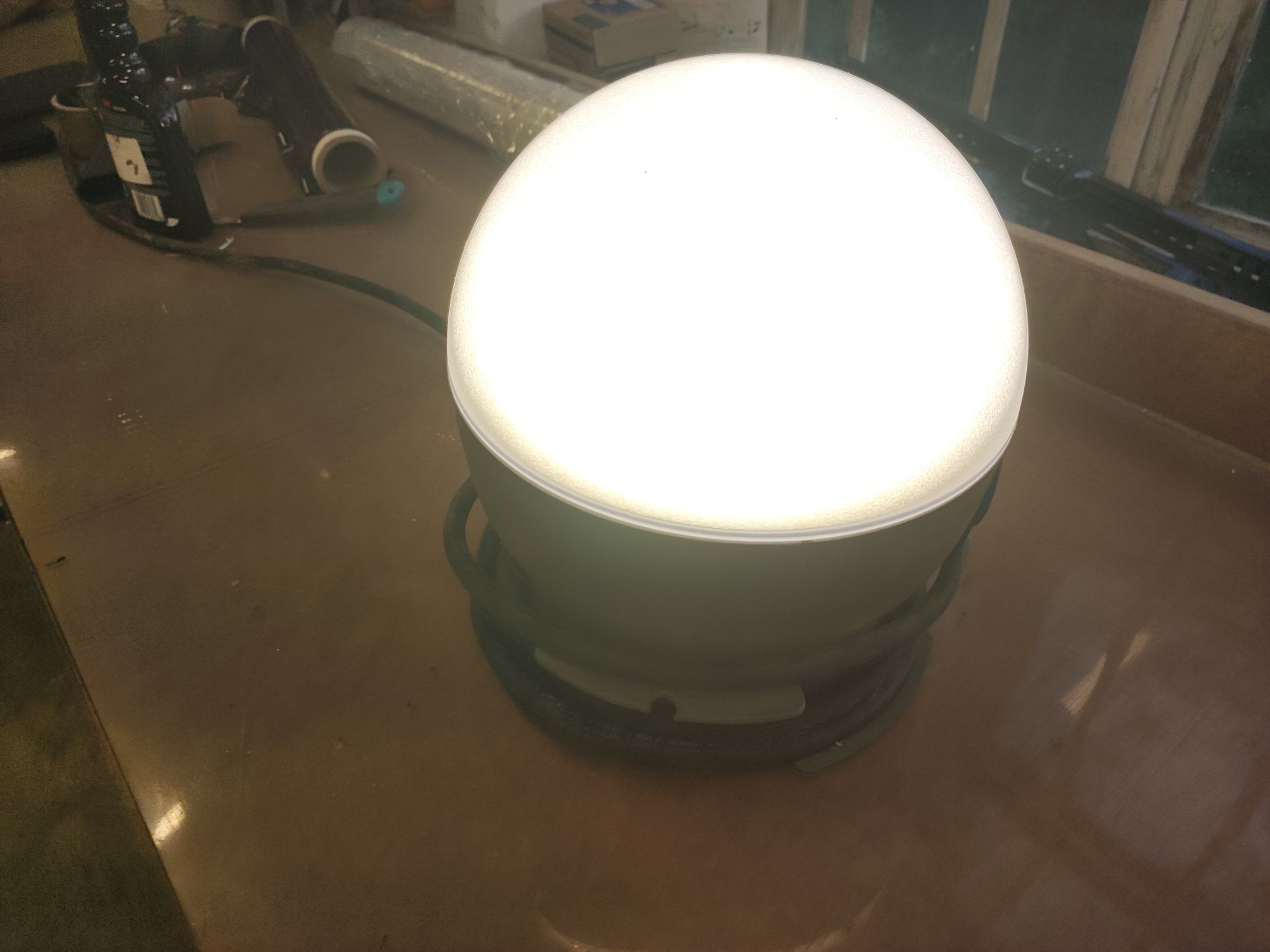 Lampa Led budowlana malarska Lena future Ball 20W