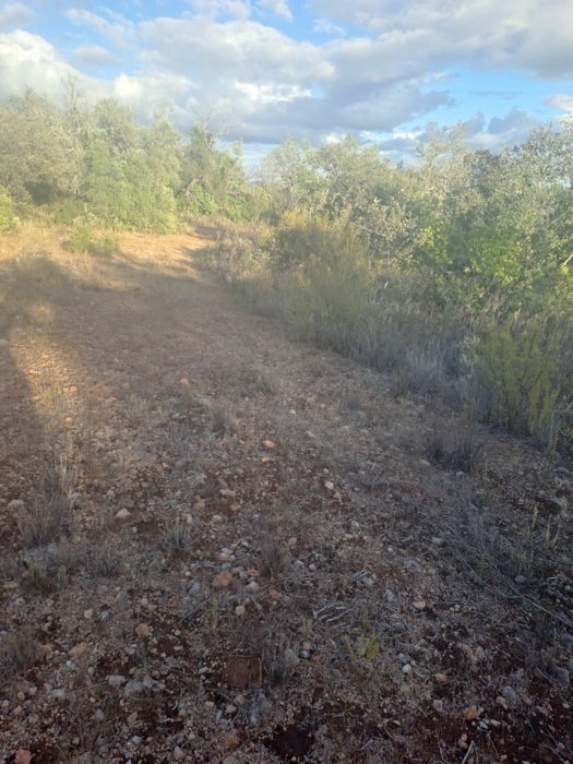 Terreno rustico com bonita vista