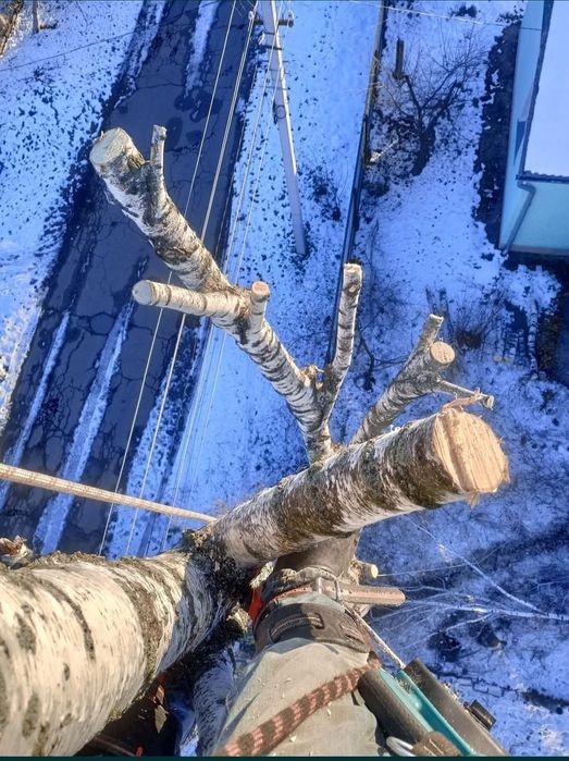 Видалення аварійних дерев, розпил дров, розчищення території