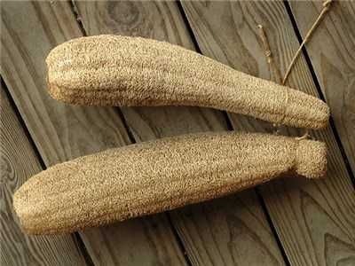 Sementes de Abóbora Luffa (abóbora esfregão)