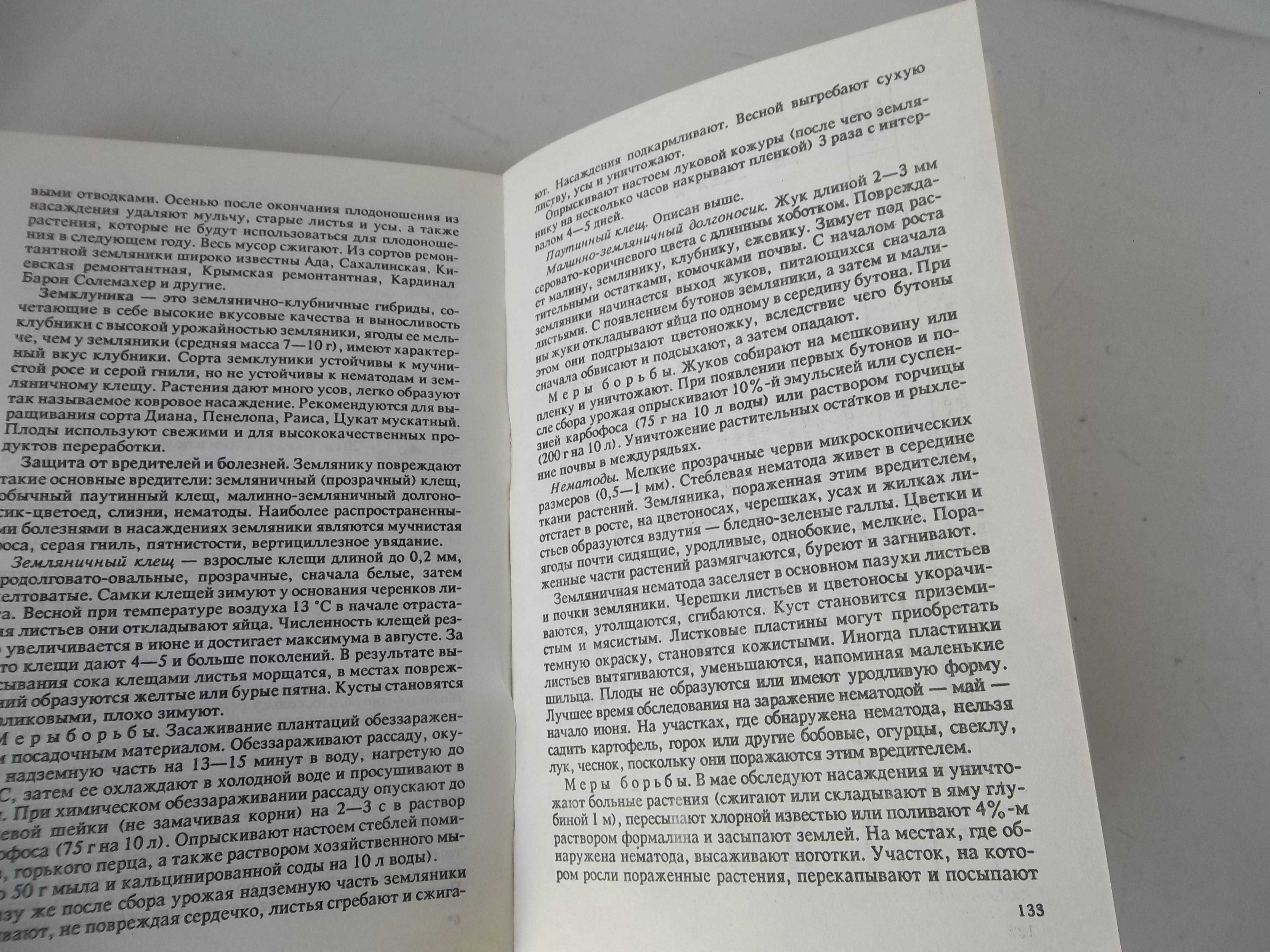 В саду и на огороде. К зимнему столу