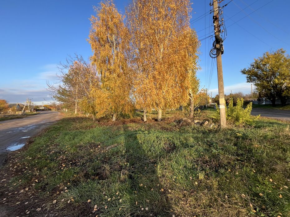 Земельні ділянки в Свидівку від 430$ за сотку! Центр, газ, світло