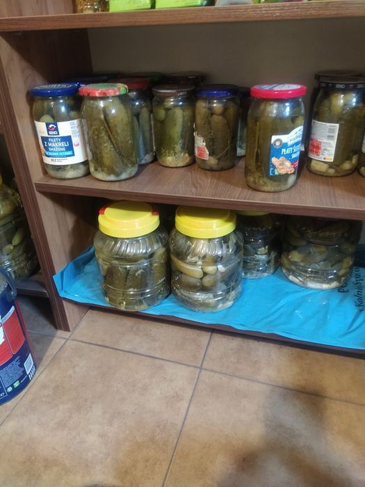 Ogórki kiszone z własnego ogródka