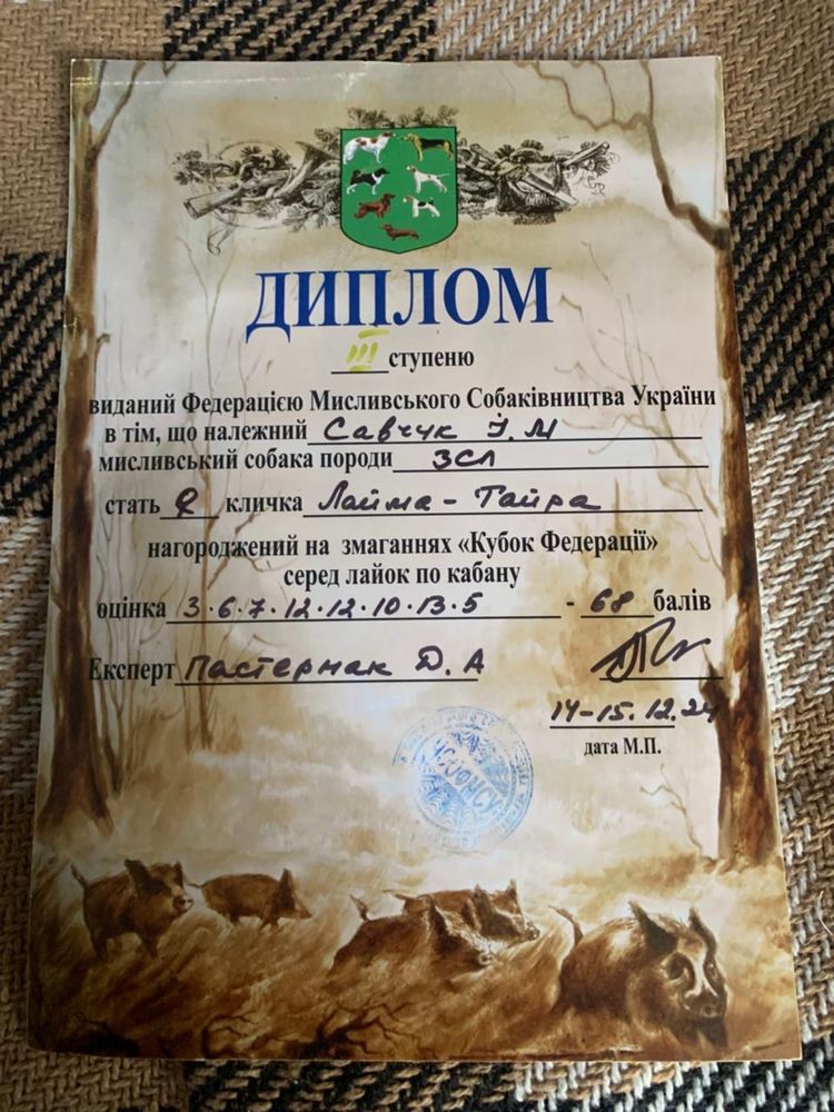 Західносибірська лайка