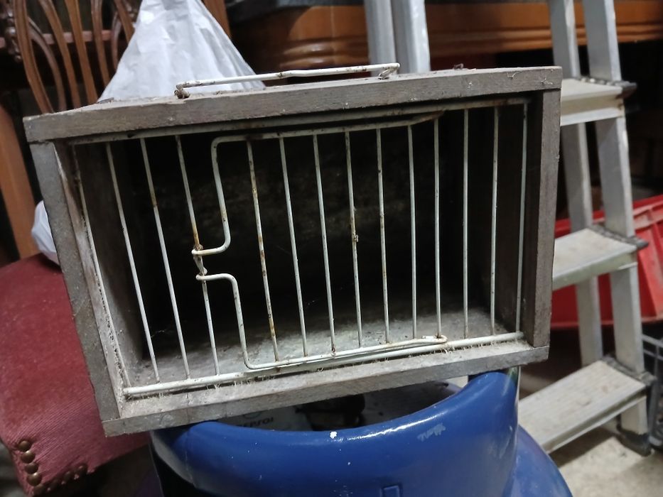 Gaiola e transportadoras e ninhos para pássaros