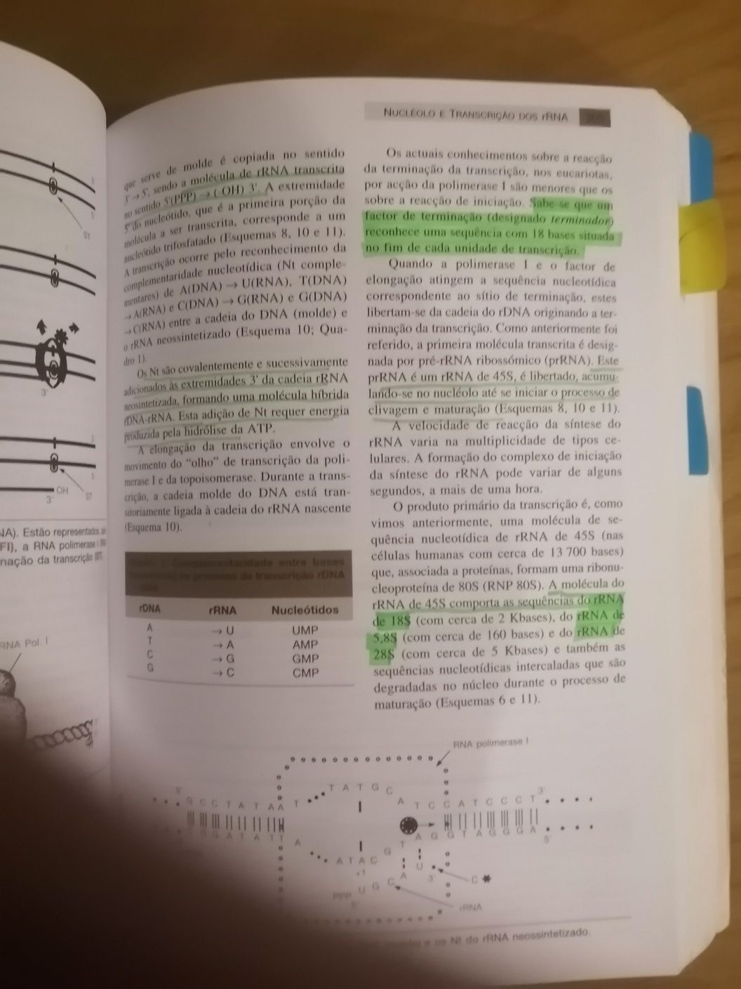 Livro - Biologia celular e molecular. Carlos Azevedo. 4ª edição, 2005