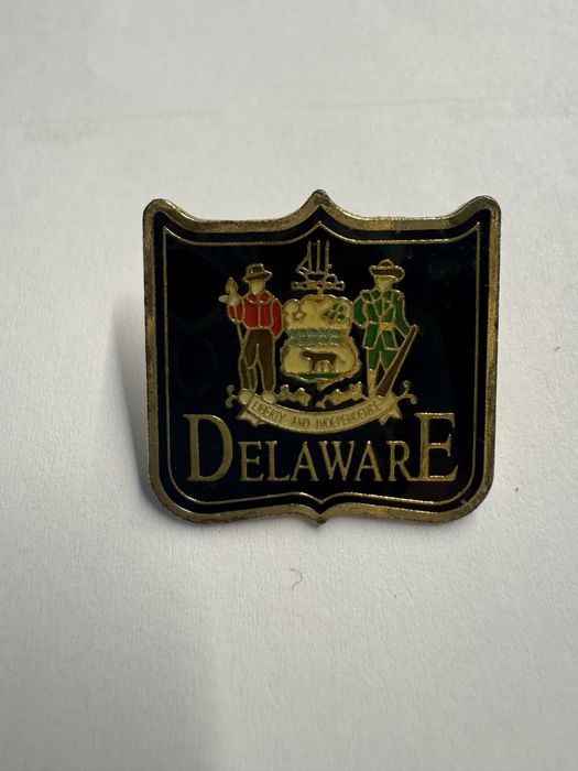 Przypinka Delaware