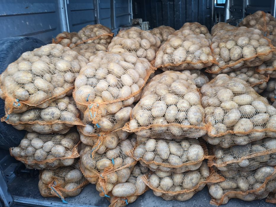 Ziemniaki na zimę żółte czerwone i zboże dostawa do domu