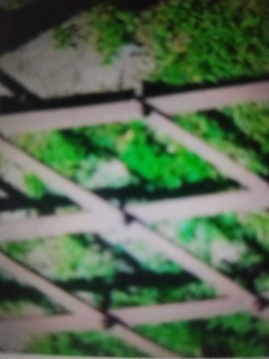 Борона тракторна тяжка.