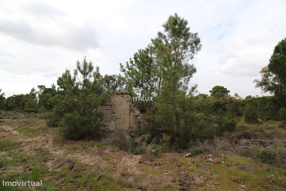 Herdade com 16,1500 ha, na zona da Lagoa de Melides, com viabilidade p