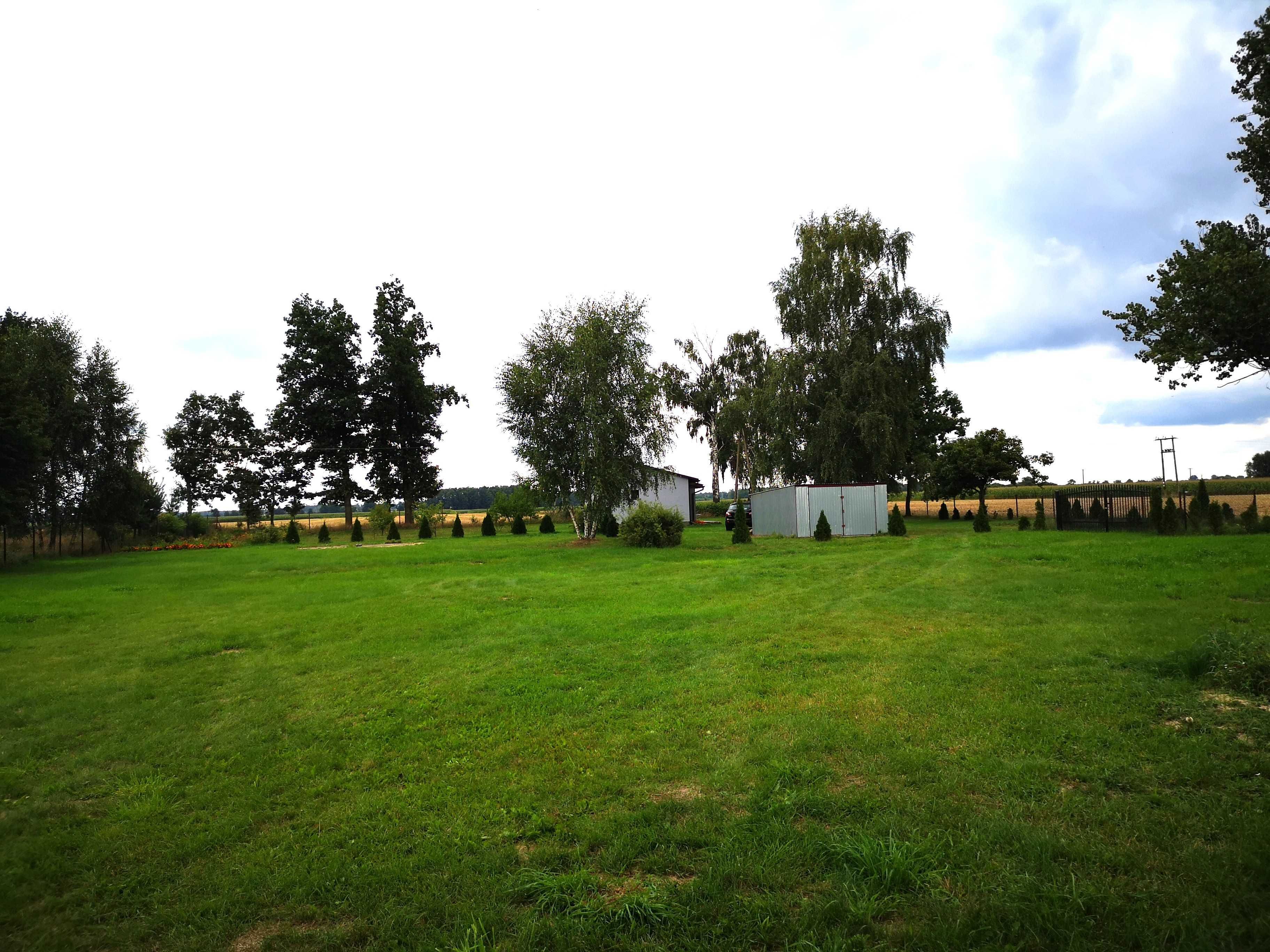 Siedlisko z własnym lasem i  budynkami 2,8 ha plus WZ
