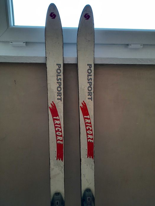 Narty zjazdowe marki Polsport