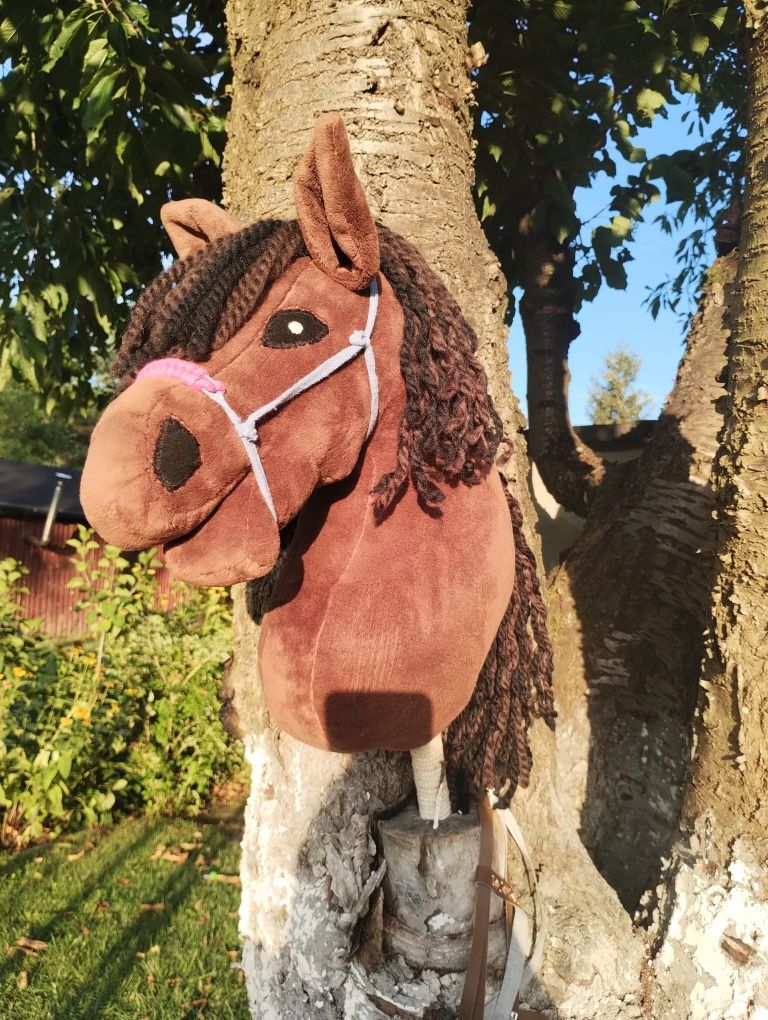 Hobby  Horse  A3