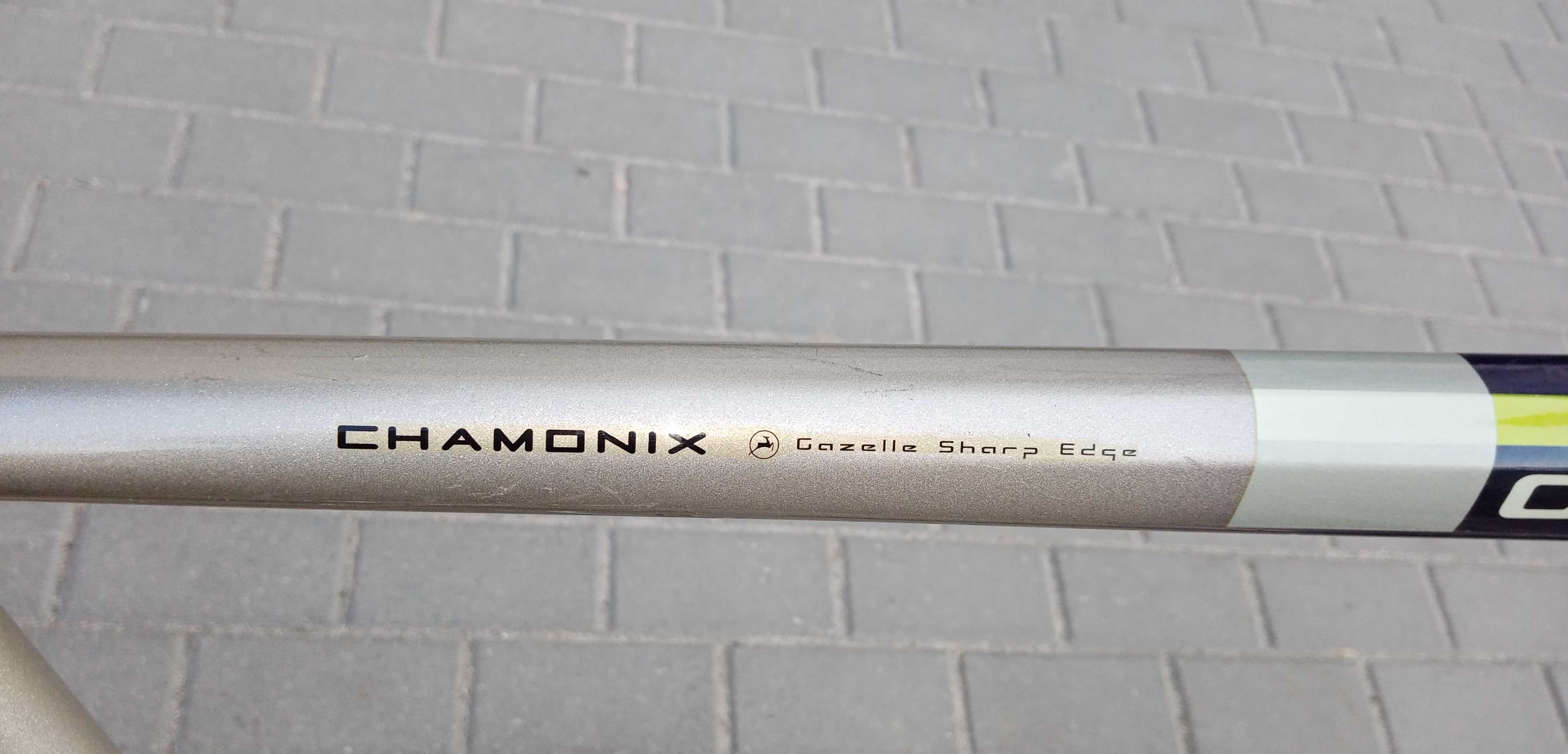 Rower Gazelle Chamonix świeżo po serwisie!