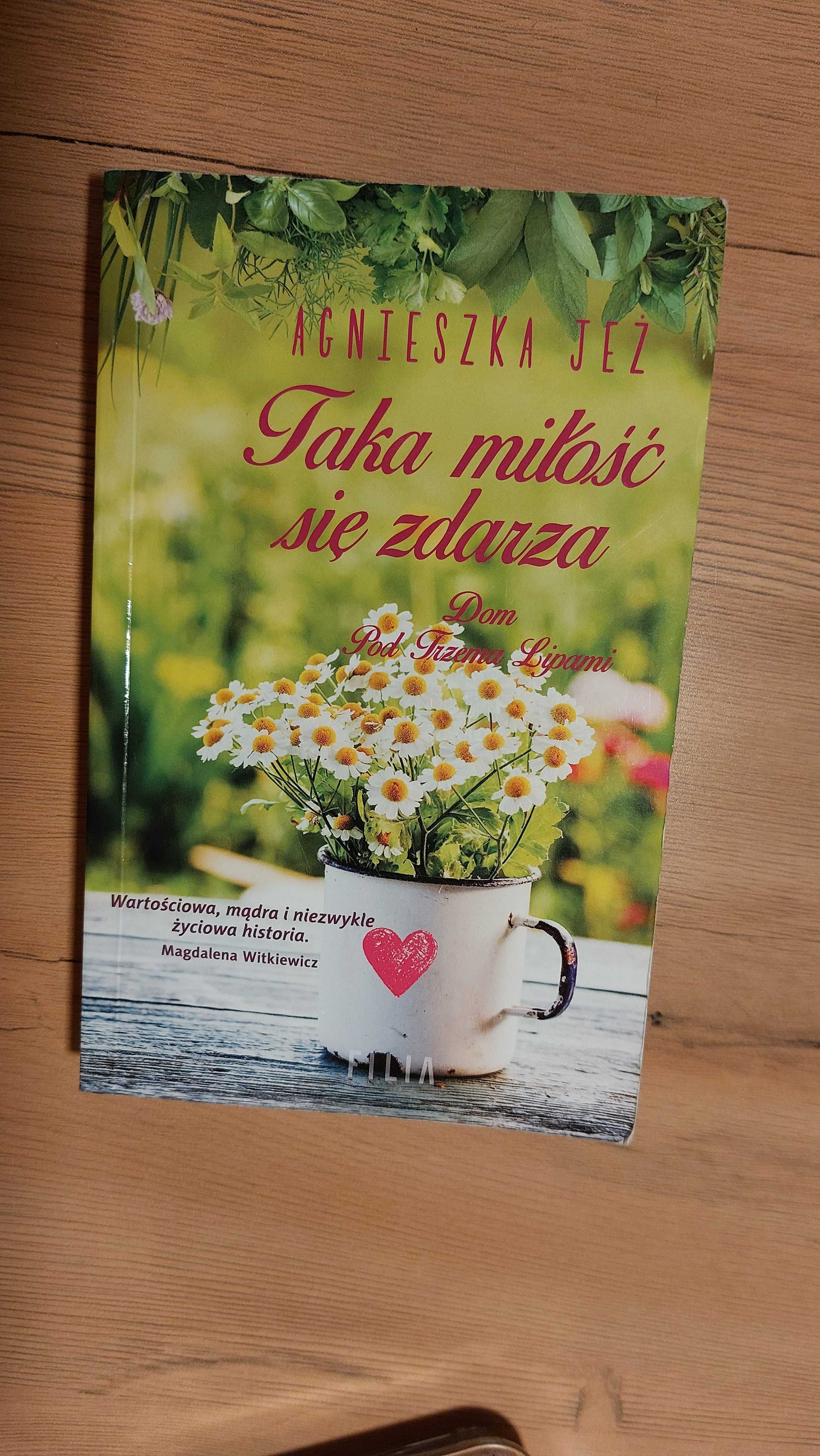 Polskie książki obyczajowe Witkiewicz Jeż