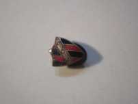 Pin antigo vintage SGS