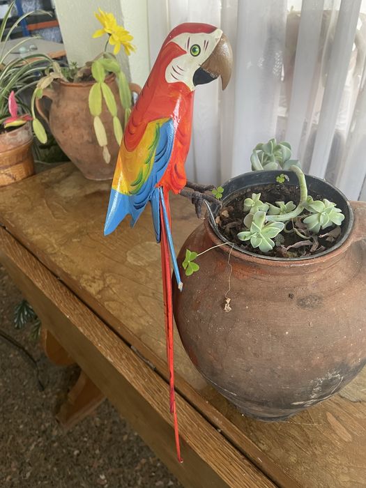 Arara decorativa em madeira