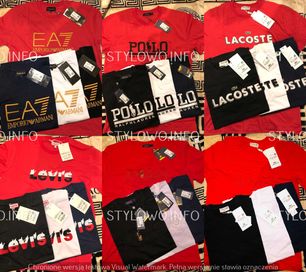 Koszulka męska duzy znaczek Lacoste Polo Armani kolory