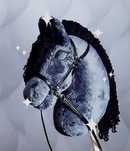 Hobby horse konik