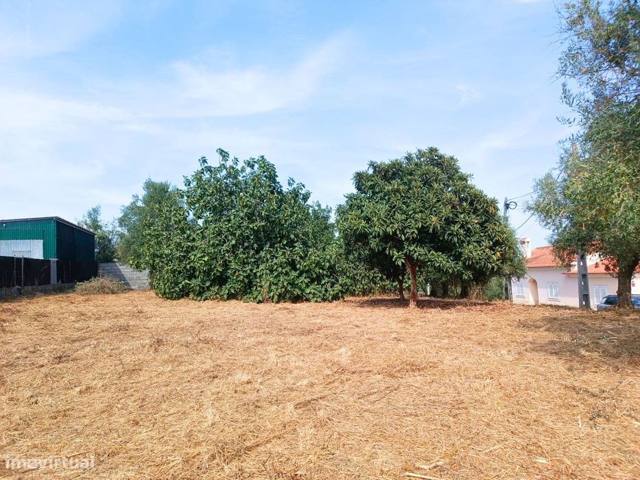 Terreno para venda em Alcanhões – 1.000m²