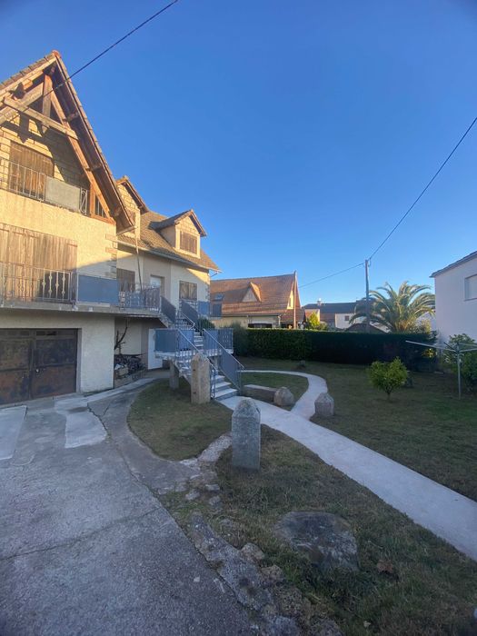 Serviços de Limpeza, Detalhamento Automóvel e Manutenção de Jardins