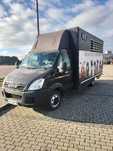Samochód Iveco daily zabudowa do bydla