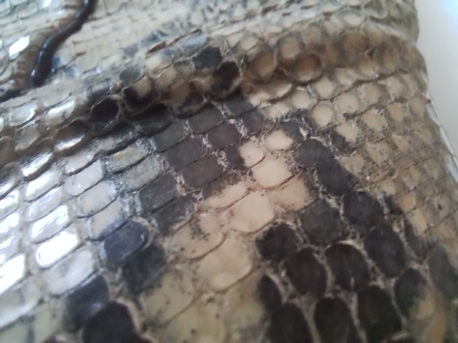 Kozaki letnie  ze skóry węża naturalnego, rozmiar 39