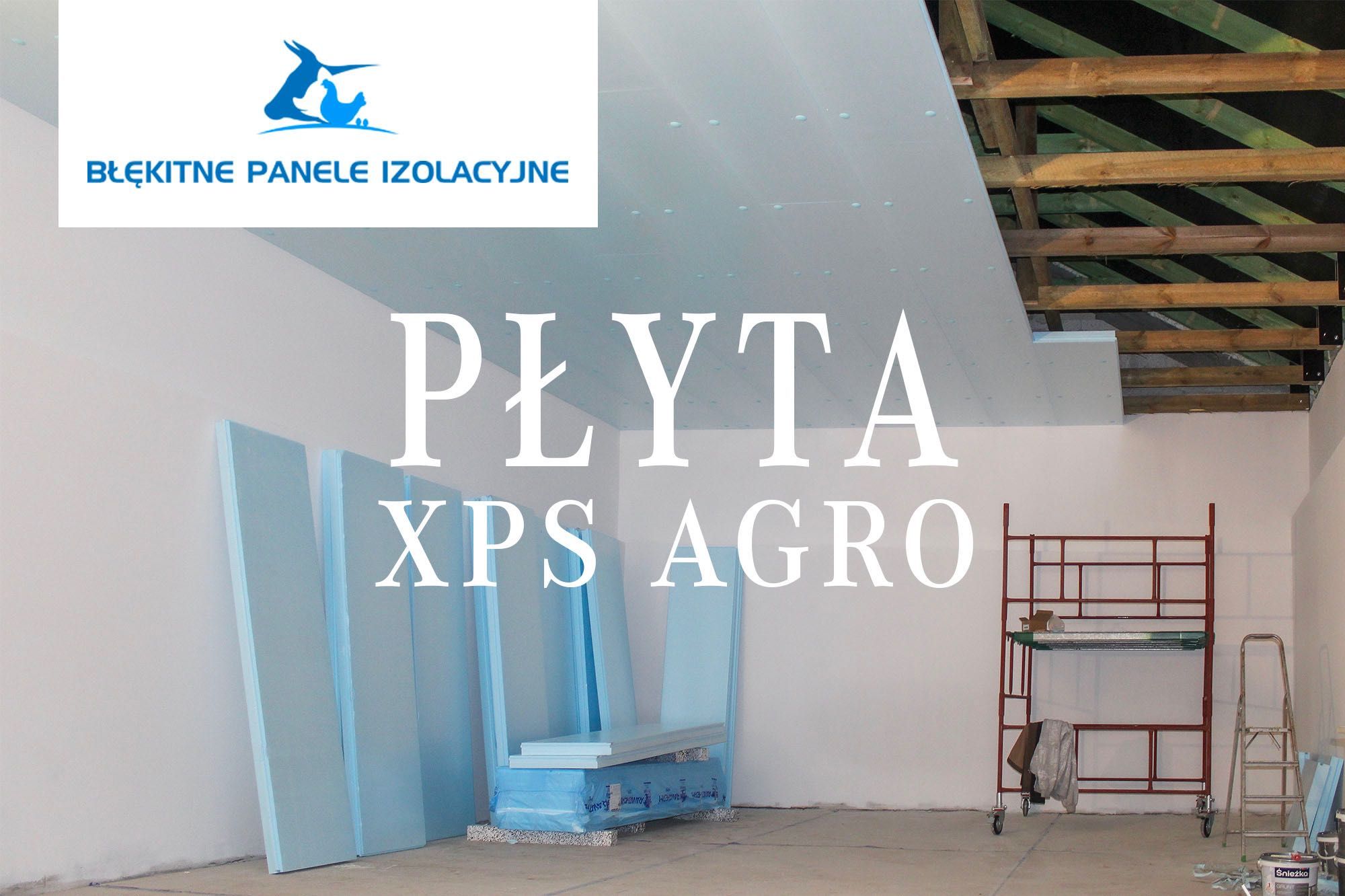 Płyta Thermo Termo Izolacyjna Styrodur XPS AGRO Podsufitka Podbitka