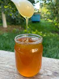 Мед з власної пасіки 4в1 (акація+липа+гречка+сонях)