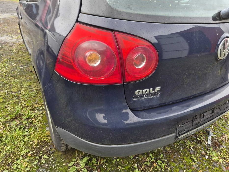 Volkswagen Golf V 1.9 TDI BLS, rok 2007, kolor (A5G D3).