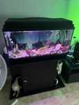 Vendo aquario mais movel