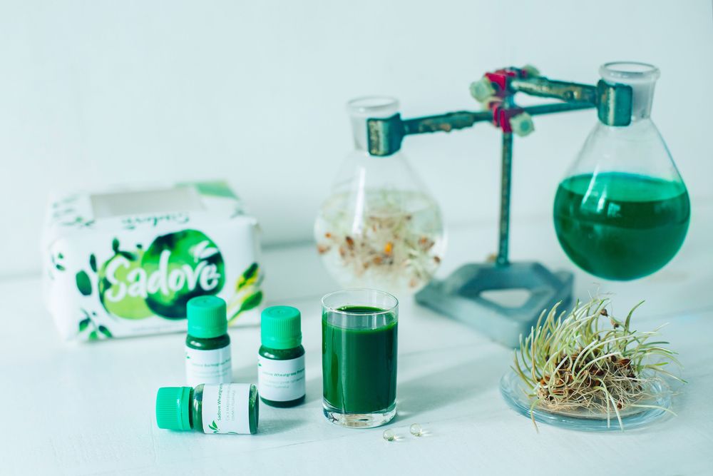 Лікувальний сік з Броколі, паростки БОКОЛІ, пророщене насіння та зерно