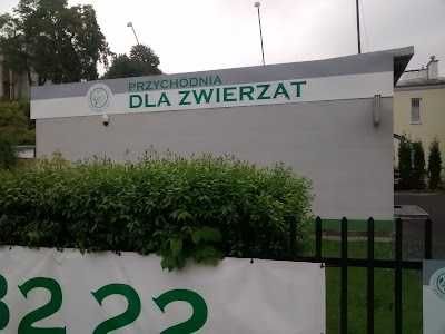 Lokal usługowy wynajem 100 m2 działka 1000 m2 ogrodzona
