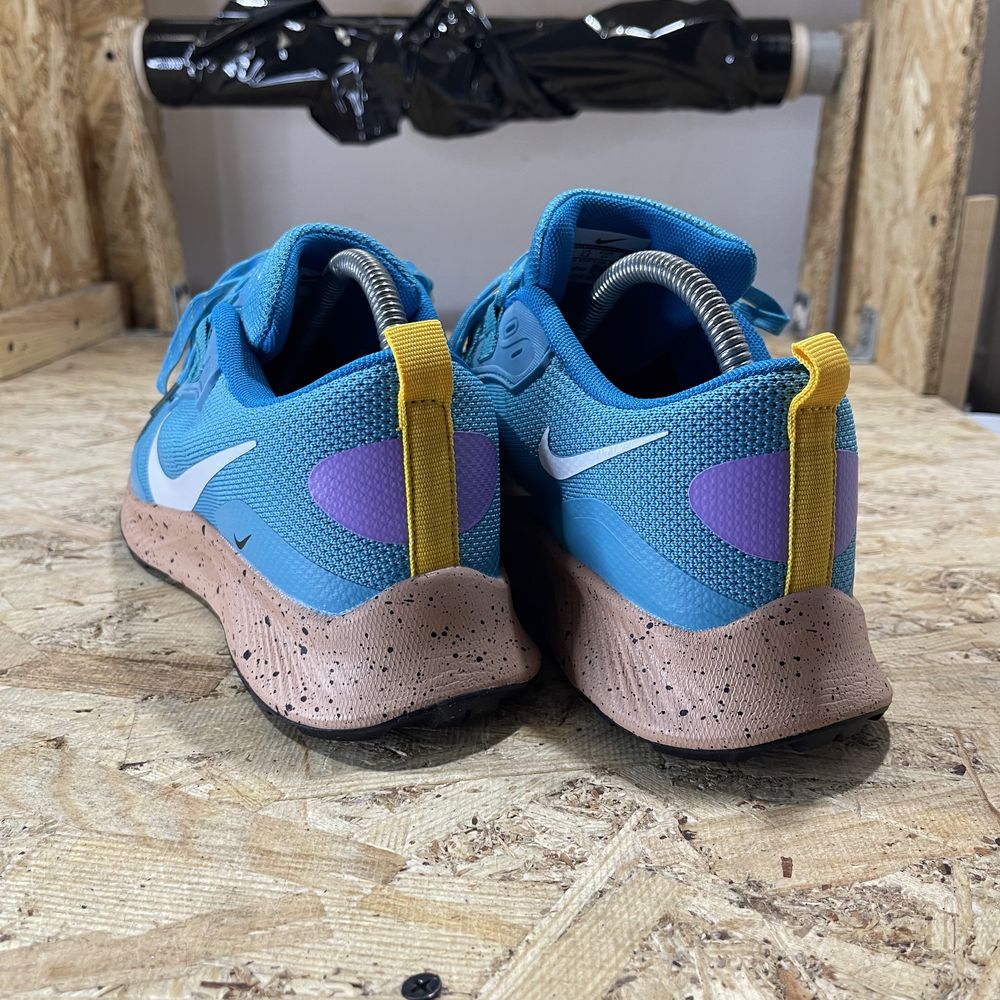 Чоловічі кросівки Nike Pegasus Trail Blue