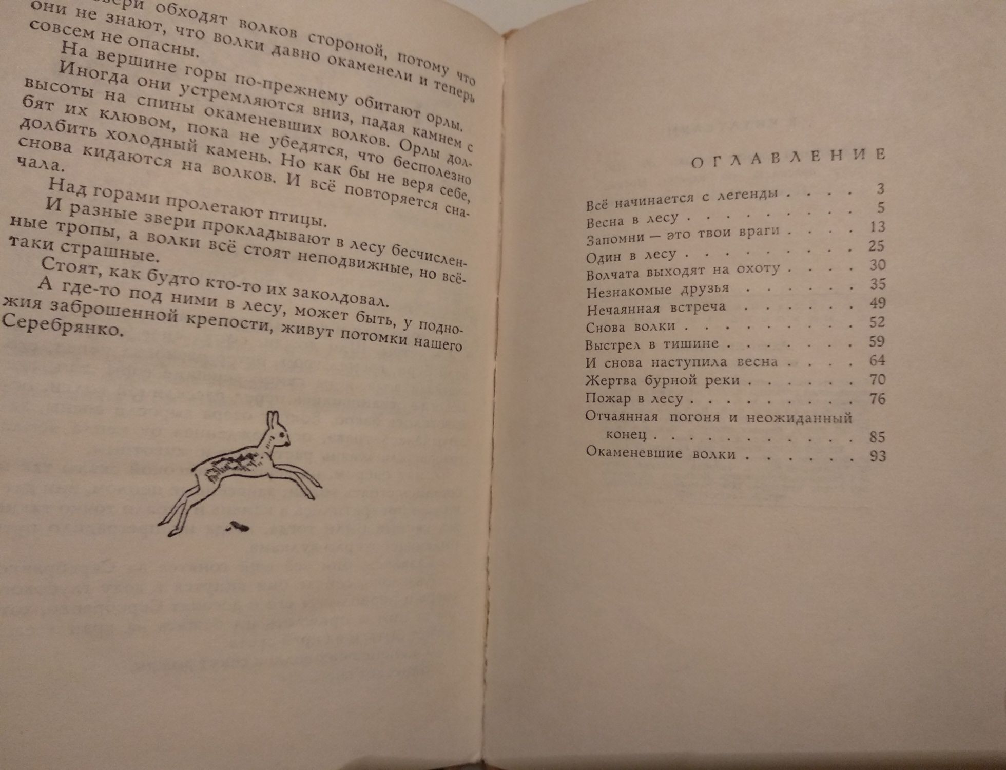 А. Хромаджич "Окаменевшие волки" детская книга